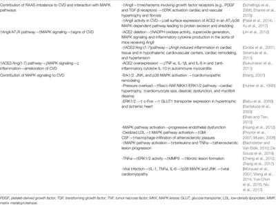 Molecular Insights Into SARS COV-2 Interaction With Cardiovascular Disease: Role of RAAS and MAPK Signaling